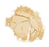 Wet n Wild Clarifying Finishing Powder