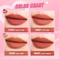 PINKFLASH Silky Lasting Matte Kiss-Proof Lipstick PF-L28