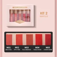 IMAGIC MATTE LIPSTICK SET-5PCS