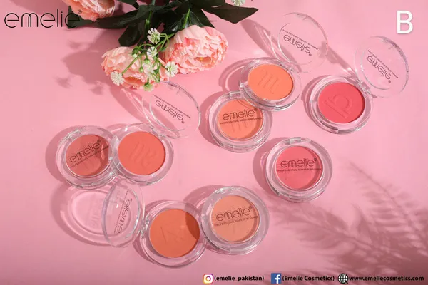 Professional Makeup Blusher
