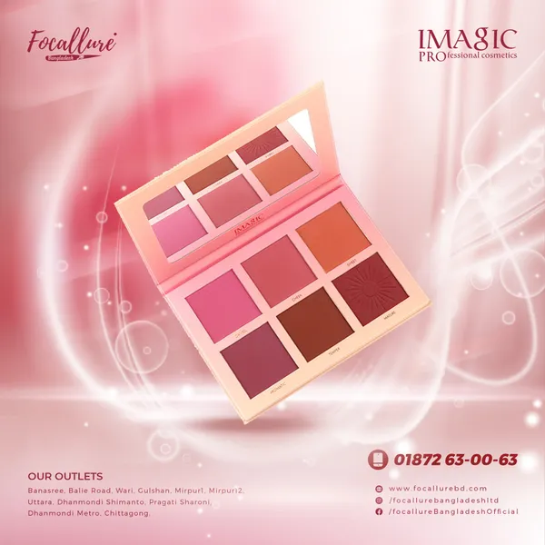 IMAGIC 6 COLOR TOUCH BLUSH PALETTE