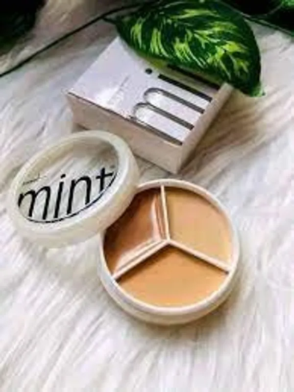 Sweet Mint Concealer Palette
